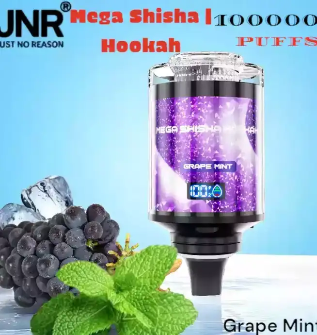 JNR Mega Shisha Hookah 100000 Puffs Vape Avec Lumière et Saveurs