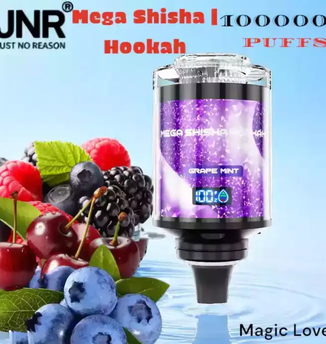 JNR Mega Shisha Hookah 100000 Puffs Vape Avec Lumière et Saveurs
