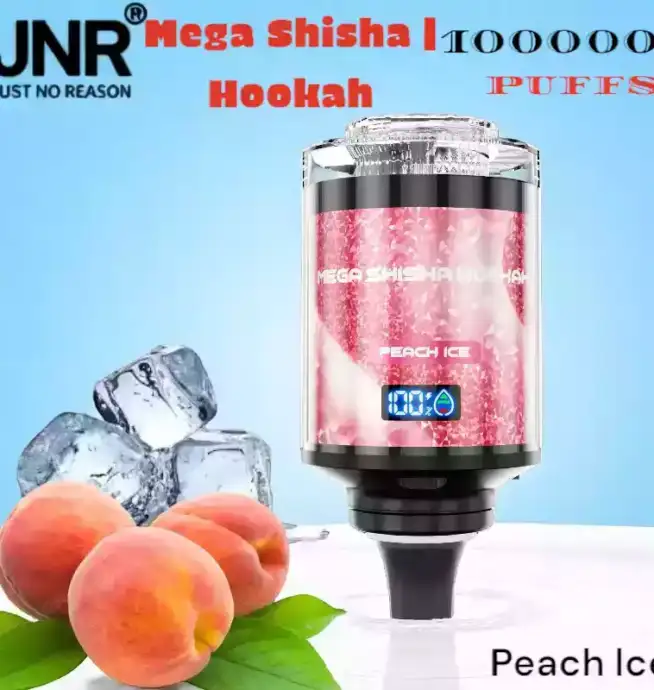 JNR Mega Shisha Hookah 100000 Puffs Vape Avec Lumière et Saveurs