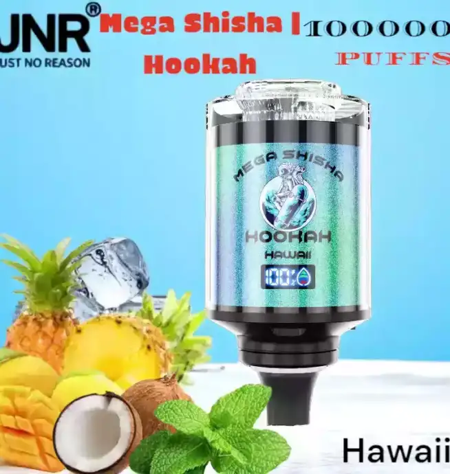 JNR Mega Shisha Hookah 100000 Puffs Vape Avec Lumière et Saveurs