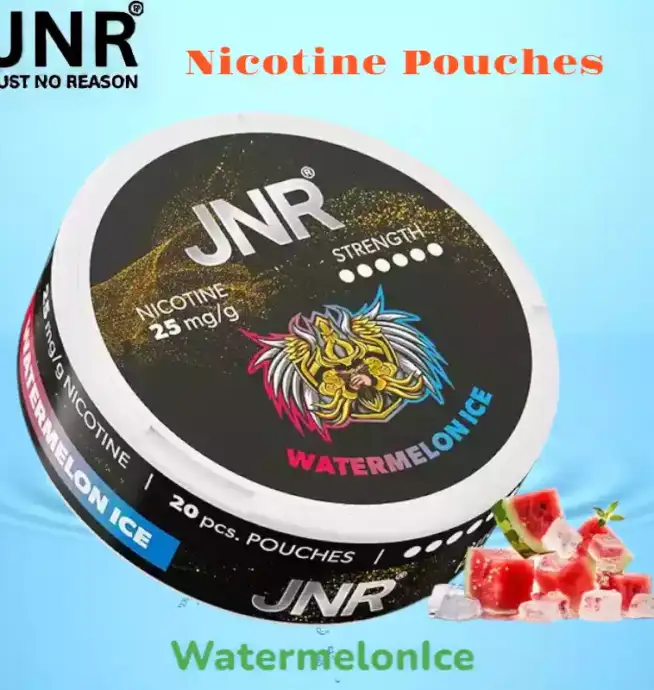 JNR Nicotine Pouches Alternative jetable sans tabac