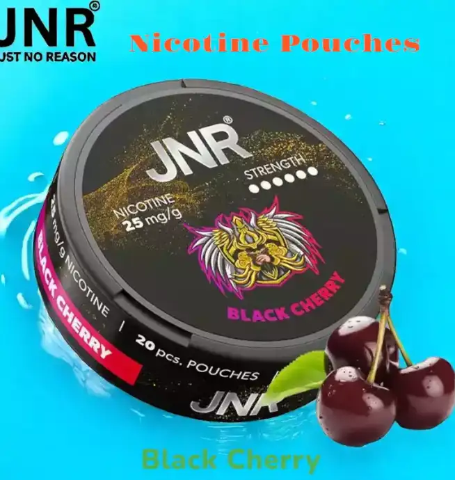 JNR Nicotine Pouches Alternative jetable sans tabac