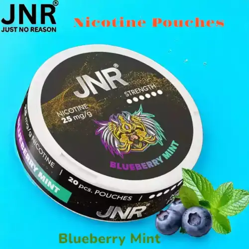 JNR Nicotine Pouches Alternative jetable sans tabac