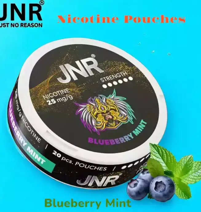 JNR Nicotine Pouches Alternative jetable sans tabac