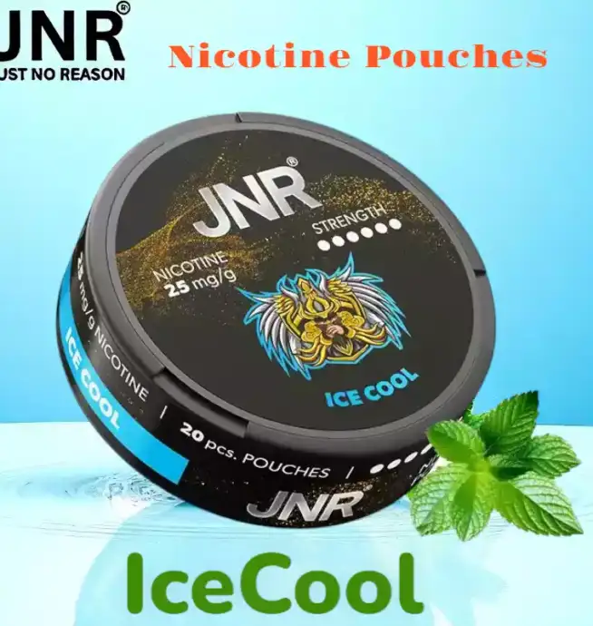 JNR Nicotine Pouches Alternative jetable sans tabac