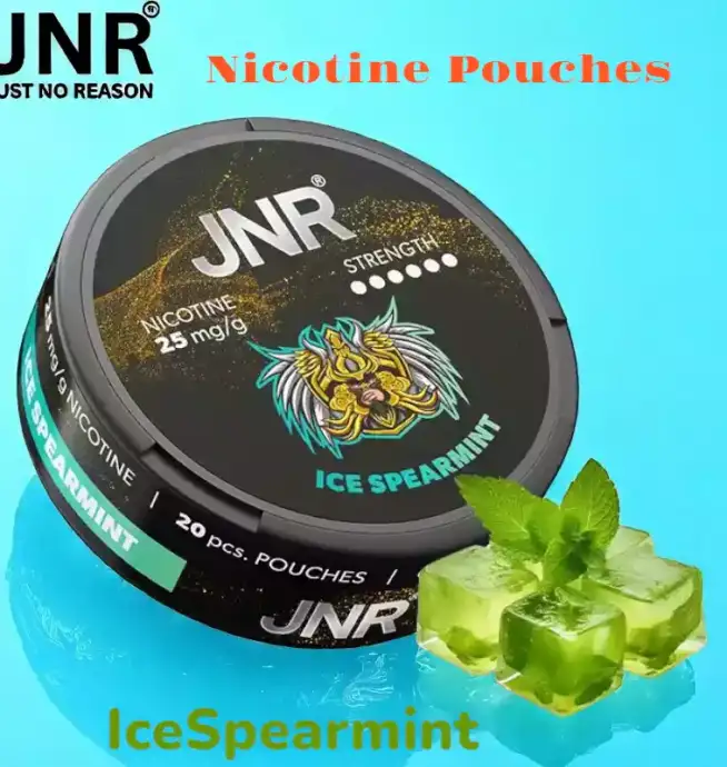 JNR Nicotine Pouches Alternative jetable sans tabac