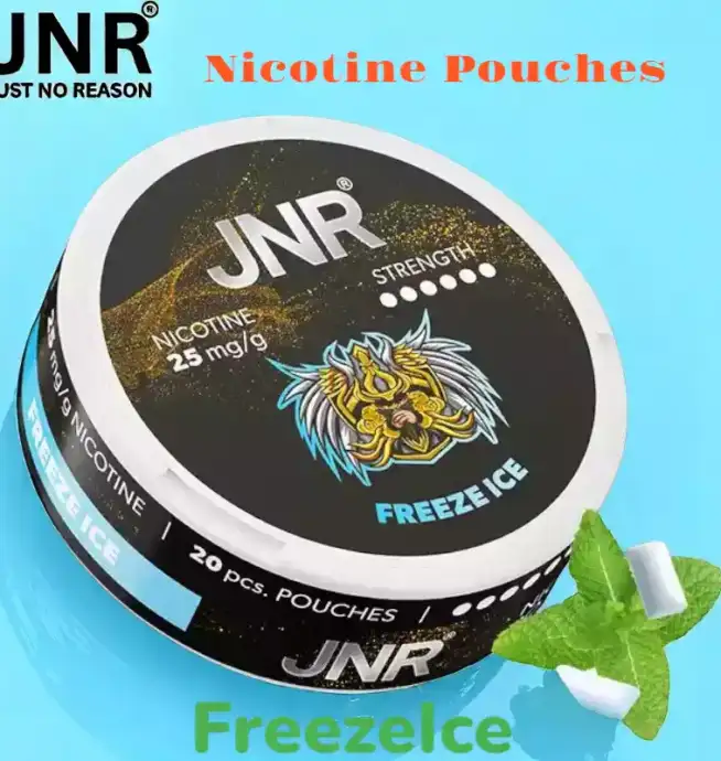 JNR Nicotine Pouches Alternative jetable sans tabac
