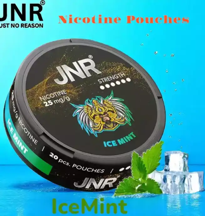 JNR Nicotine Pouches Alternative jetable sans tabac