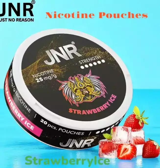 JNR Nicotine Pouches Alternative jetable sans tabac