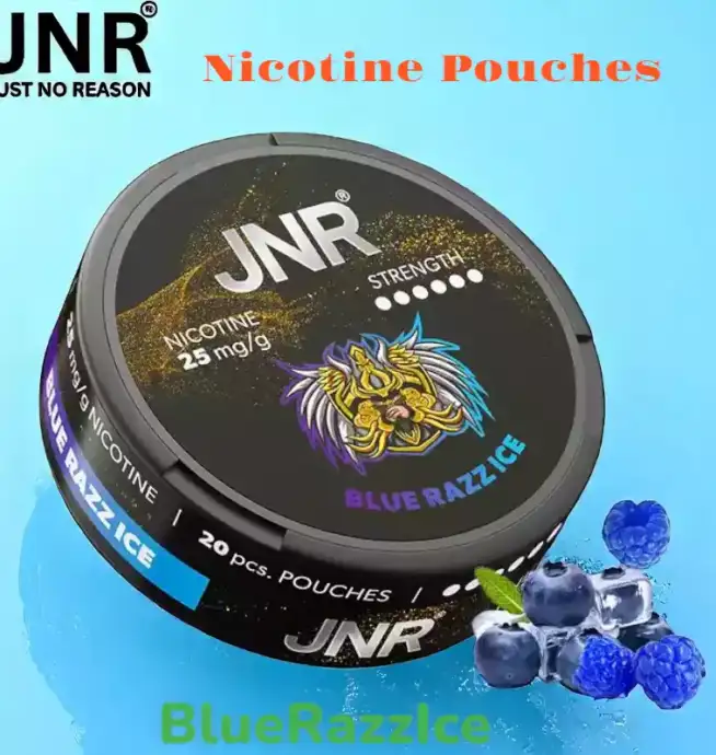 JNR Nicotine Pouches Alternative jetable sans tabac