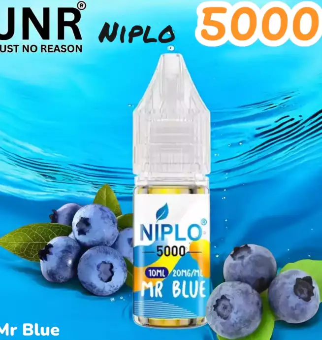 JNR Niplo 5000 13 Saveurs en Sel de Nicotine Premium