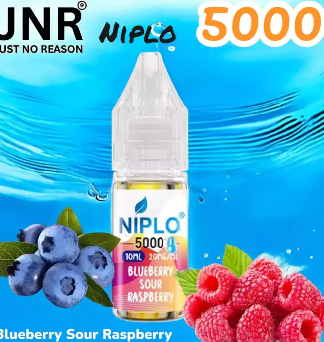 JNR Niplo 5000 13 Saveurs en Sel de Nicotine Premium
