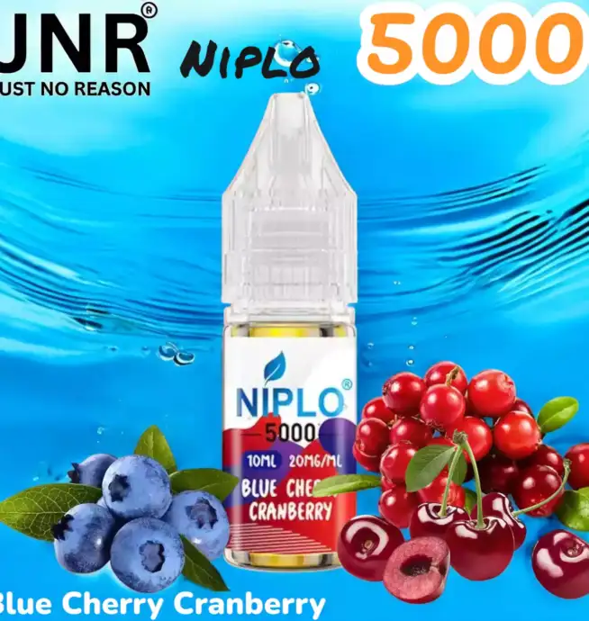 JNR Niplo 5000 13 Saveurs en Sel de Nicotine Premium