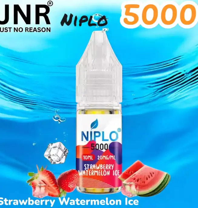 JNR Niplo 5000 13 Saveurs en Sel de Nicotine Premium