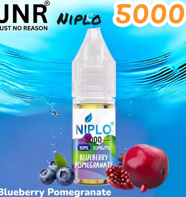 JNR Niplo 5000 13 Saveurs en Sel de Nicotine Premium