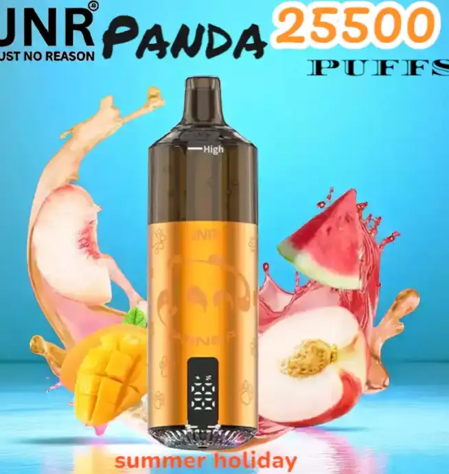 JNR Panda 25500 PUFFS Vape 25.5K rechargeable – Image 4