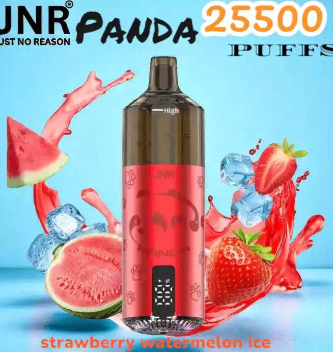 JNR Panda 25500 PUFFS Vape 25.5K rechargeable