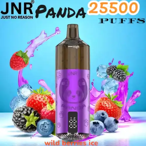 JNR Panda 25500 PUFFS Vape 25.5K rechargeable