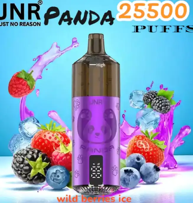 JNR Panda 25500 PUFFS Vape 25.5K rechargeable