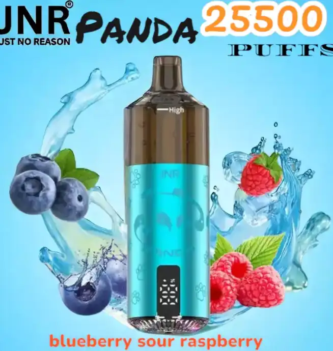 JNR Panda 25500 PUFFS Vape 25.5K rechargeable