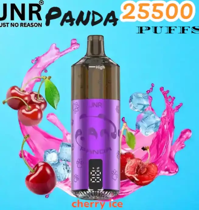 JNR Panda 25500 PUFFS Vape 25.5K rechargeable