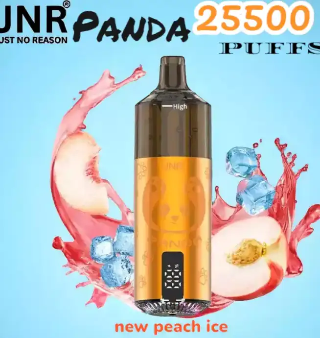 JNR Panda 25500 PUFFS Vape 25.5K rechargeable