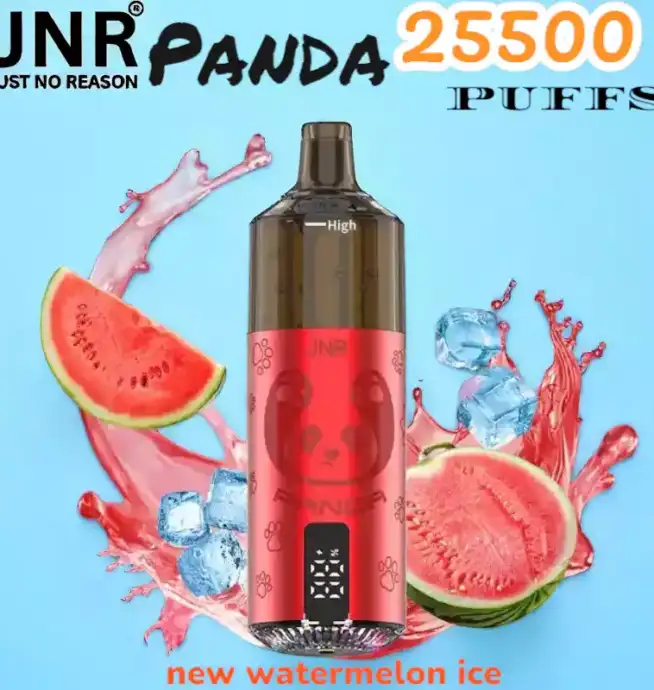 JNR Panda 25500 PUFFS Vape 25.5K rechargeable