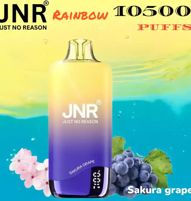JNR Rainbow 10500 PUFFS Simplicité & Puissance