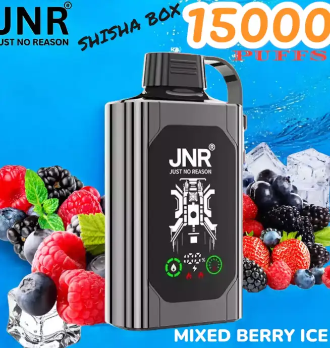JNR SHISHA BOX 15000 PUFFS Premium vape lasting 15000 puffs