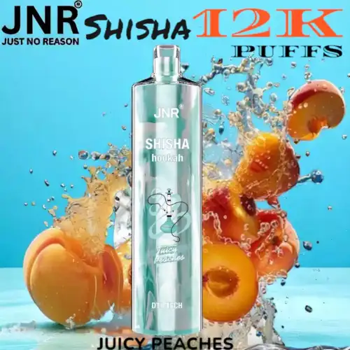 JNR Shisha 12K Puffs La Chicha Nomade Puissante et Raffinée