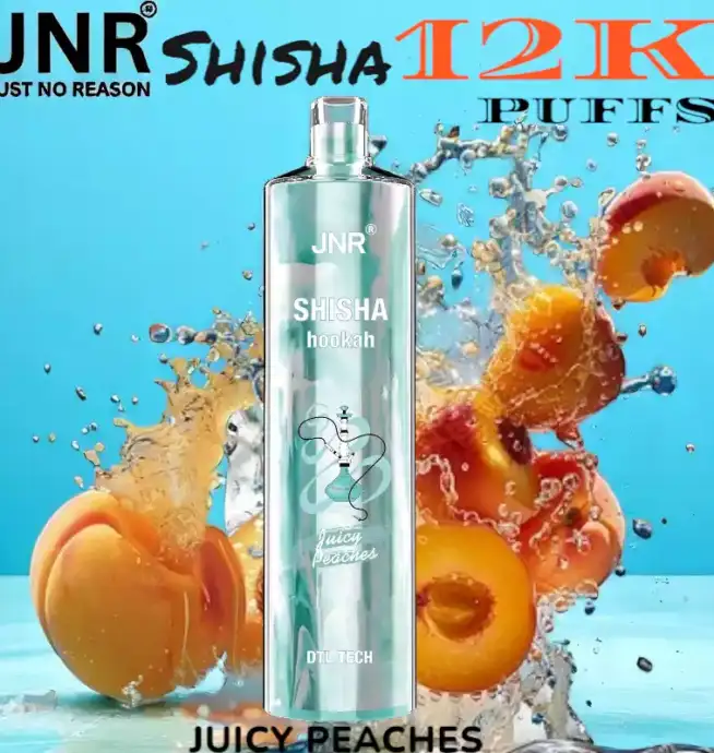 JNR Shisha 12K Puffs La Chicha Nomade Puissante et Raffinée