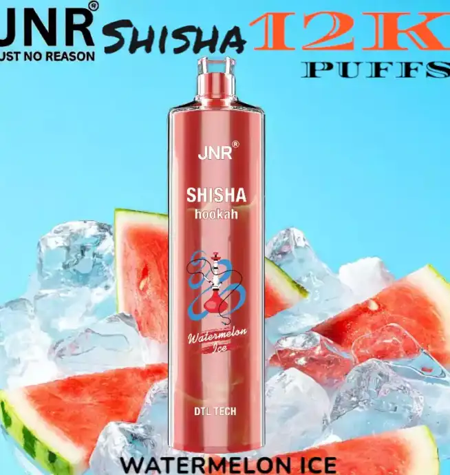 JNR Shisha 12K Puffs La Chicha Nomade Puissante et Raffinée