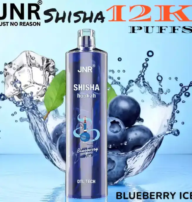 JNR Shisha 12K Puffs La Chicha Nomade Puissante et Raffinée