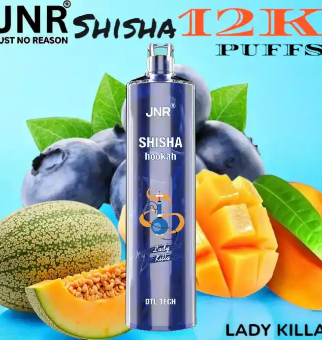 JNR Shisha 12K Puffs La Chicha Nomade Puissante et Raffinée