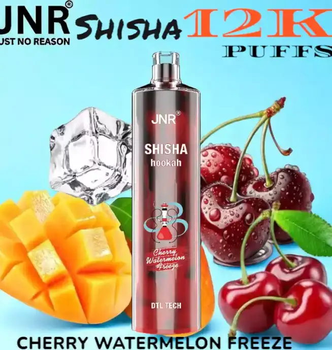 JNR Shisha 12K Puffs La Chicha Nomade Puissante et Raffinée