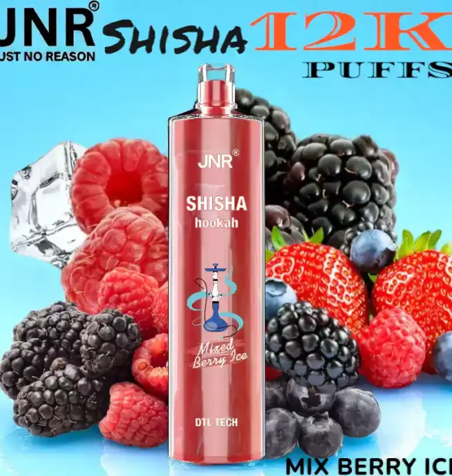 JNR Shisha 12K Puffs La Chicha Nomade Puissante et Raffinée