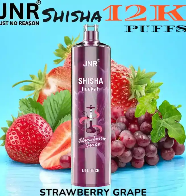 JNR Shisha 12K Puffs La Chicha Nomade Puissante et Raffinée