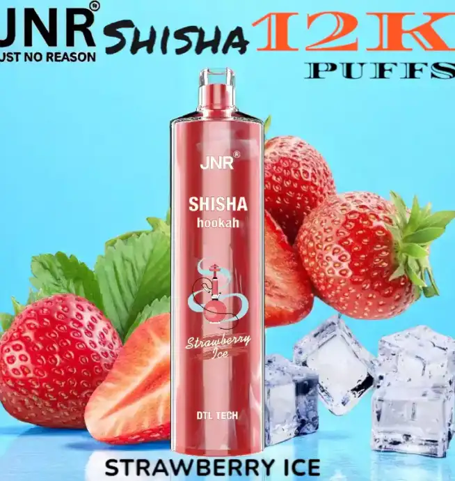 JNR Shisha 12K Puffs La Chicha Nomade Puissante et Raffinée