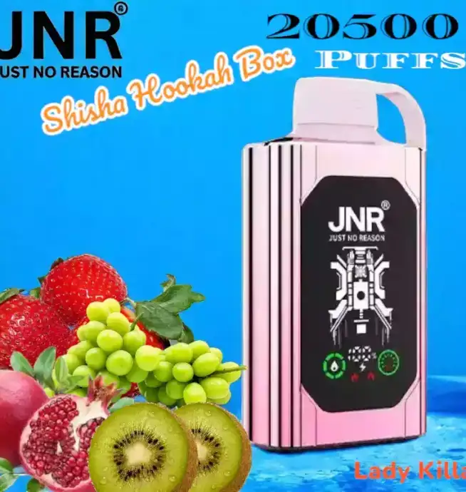 JNR Shisha Hookah Box 20500 Puffs Vape jetable goût imbattable
