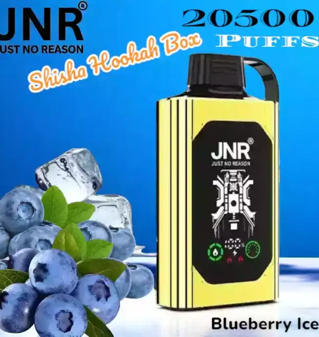 JNR Shisha Hookah Box 20500 Puffs Vape jetable goût imbattable