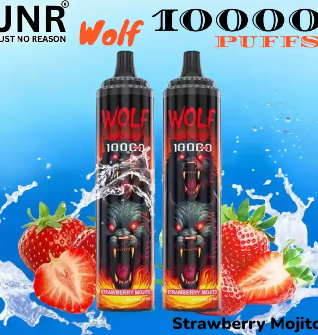JNR Wolf 10000 Puffs Vape jetable intense et stylée