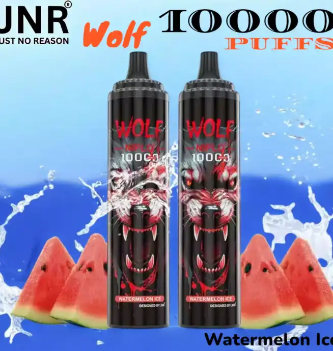 JNR Wolf 10000 Puffs Vape jetable intense et stylée