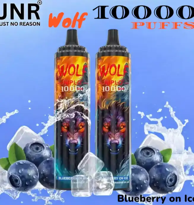 JNR Wolf 10000 Puffs Vape jetable intense et stylée