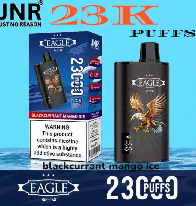 JNR eagle 23000 puffs vape jetable 23k avec airflow réglable