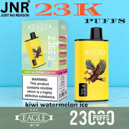 JNR eagle 23000 puffs vape jetable 23k avec airflow réglable