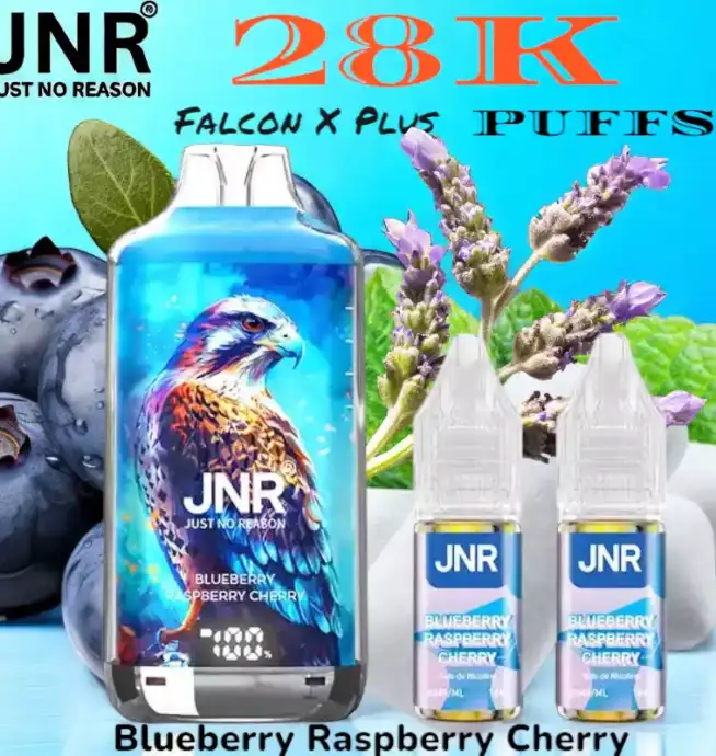 JNR falcon x plus 28k puffs vape jetable rechargeable double réservoir