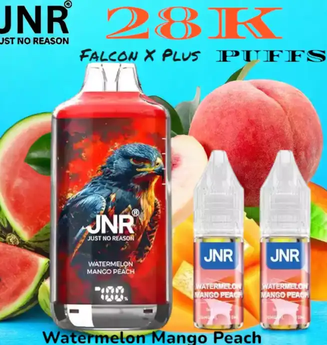 JNR falcon x plus 28k puffs vape jetable rechargeable double réservoir