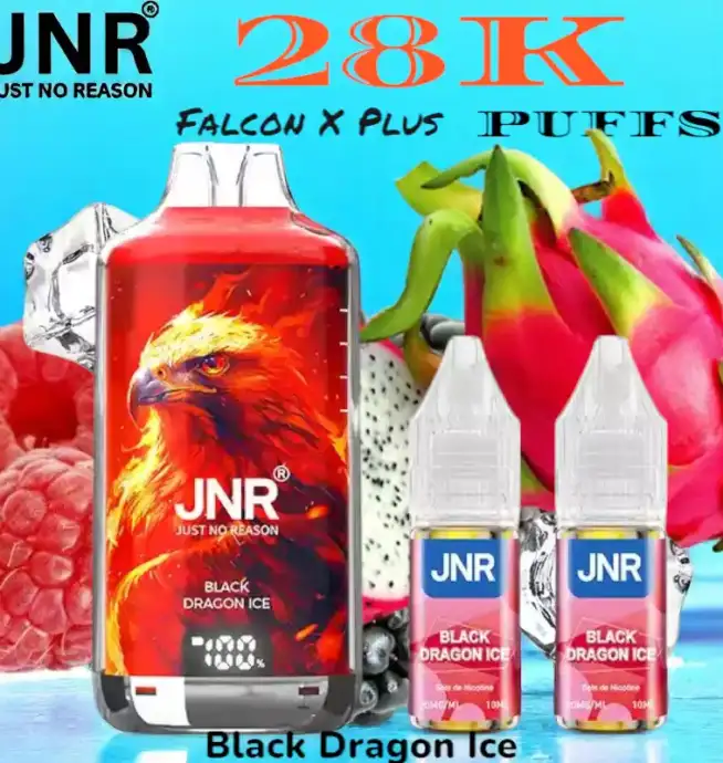 JNR falcon x plus 28k puffs vape jetable rechargeable double réservoir