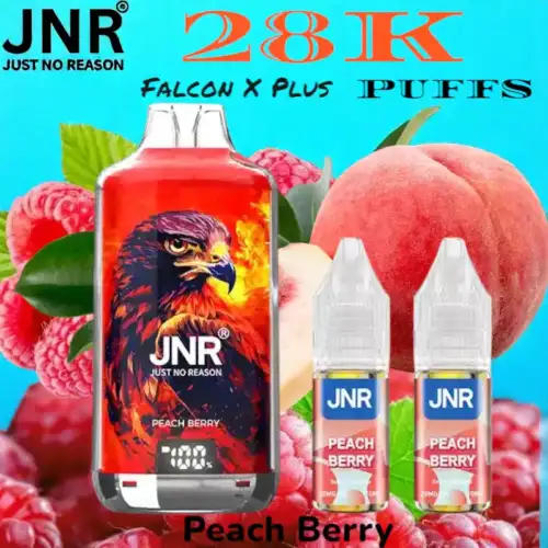 JNR falcon x plus 28k puffs vape jetable rechargeable double réservoir