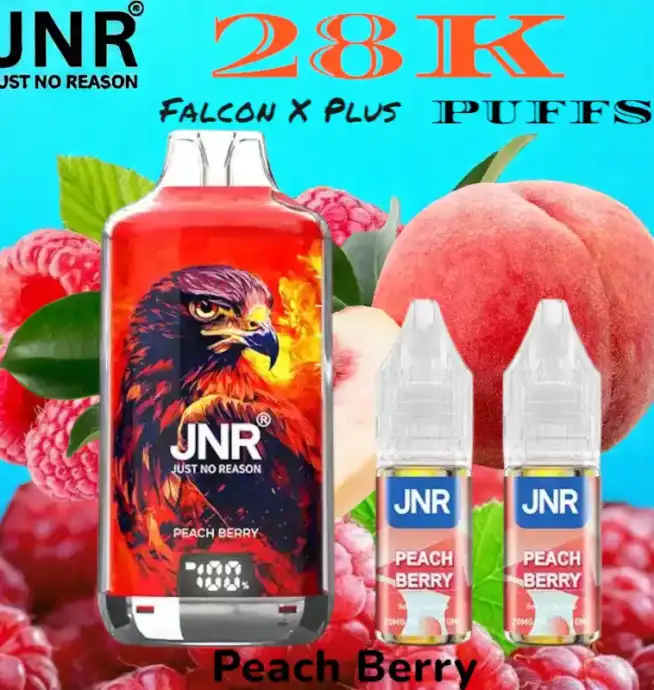 JNR falcon x plus 28k puffs vape jetable rechargeable double réservoir
